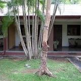 Polonnaruwa Holiday Inn — фото 1