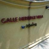 Galle Heritage Villa — фото 1
