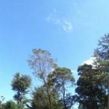Overlooking The City Of Nuwara Eliya and The Single Tree Mountain — фото 2