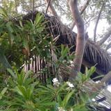 ECO Gardens Ambalangoda — фото 3