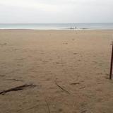 Beach Bengal — фото 2