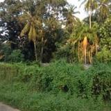 Negombo Residence — фото 3