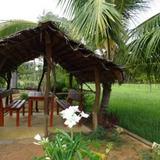 Nelu Villa Sigiriya — фото 1