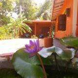 Yoho Sigiriya Nature Villa Lodge — фото 3