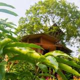 Anushka Nera Nature House — фото 2