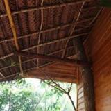 Tree House-Midigama — фото 3