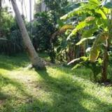 Dikwatta Holiday Resort — фото 1