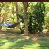 Dikwatta Holiday Resort — фото 2