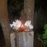 Chill out Garden — фото 2