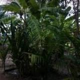 Coconut Park — фото 2