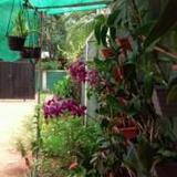 Sarani Holiday Home — фото 2