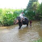 Elephant Reach Villa Pinnawala — фото 3