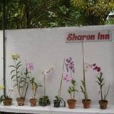 Sharon Inn — фото 2