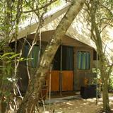Гостиница Mahoora Tented Safari Camp Knuckles — фото 2