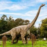 Radailiu Dvaras- Dinosaur Park — фото 1