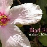 Riad El Filali — фото 1