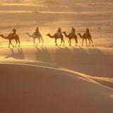 Bivouac Sahara Relax — фото 1