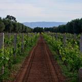 Гостиница Ryad de Vignes 