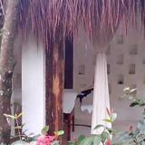 Гостиница Piedra de Agua Palenque — фото 3