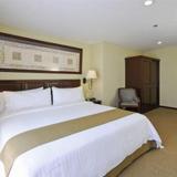Holiday Inn Hotel & Suites MEXICO ZONA ROSA — фото 1