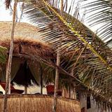 Гостиница Papaya Playa Project — фото 1