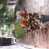 Casa Anita by Selfie suites — фото 2