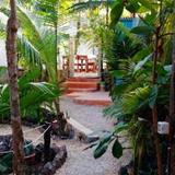 Tunich Jungle Guesthouse — фото 3