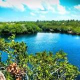 Maya Cabanas y Cenote Tulum — фото 3