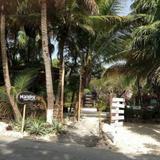 Manglex Cenote Eco Hotel — фото 2