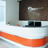 Maple Inn — фото 3