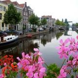 Splendid Locations Leiden — фото 3