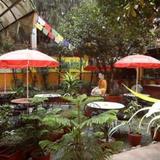 Гостиница Buddha Garden — фото 1