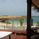 Гостиница Ras Al Hadd Beach Holiday — фото 2