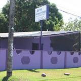 The Purple House International Backpackers' Hostel — фото 2
