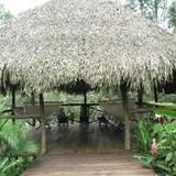 Monkey Lodge Panama — фото 1