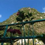 Гостиница Vista Machu Picchu — фото 3