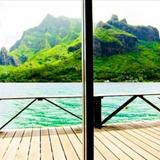 Cooks Bay Overwater Bungalows — фото 2