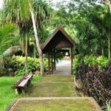 Гостиница Busuanga Island Paradise — фото 1