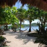Гостиница Coral Bay Beach and Dive Resort — фото 3