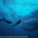 Magic Island Dive Resort — фото 2