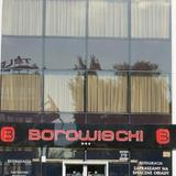 Гостиница Borowiecki — фото 1
