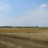 Agroturystyka u Zbyszka — фото 3