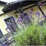 Lavender - Restauracja i pokoje goscinne — фото 2