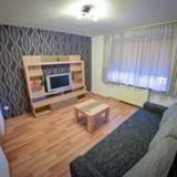Apartment Diana Sibiu — фото 1