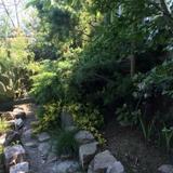 Гостевой Дом «Тропический Сад» — фото 3