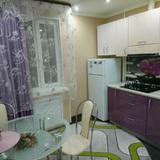 Apartment on Mirnyy Mikrorayon 2k1 — фото 1