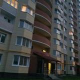Apartments Pskovskaya — фото 1