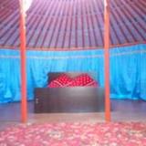 Yurt camping — фото 1