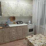 Apartment on Sevastopolskaya 29 1 — фото 3