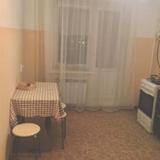 Apartment Respublikanskaya 49 — фото 3
